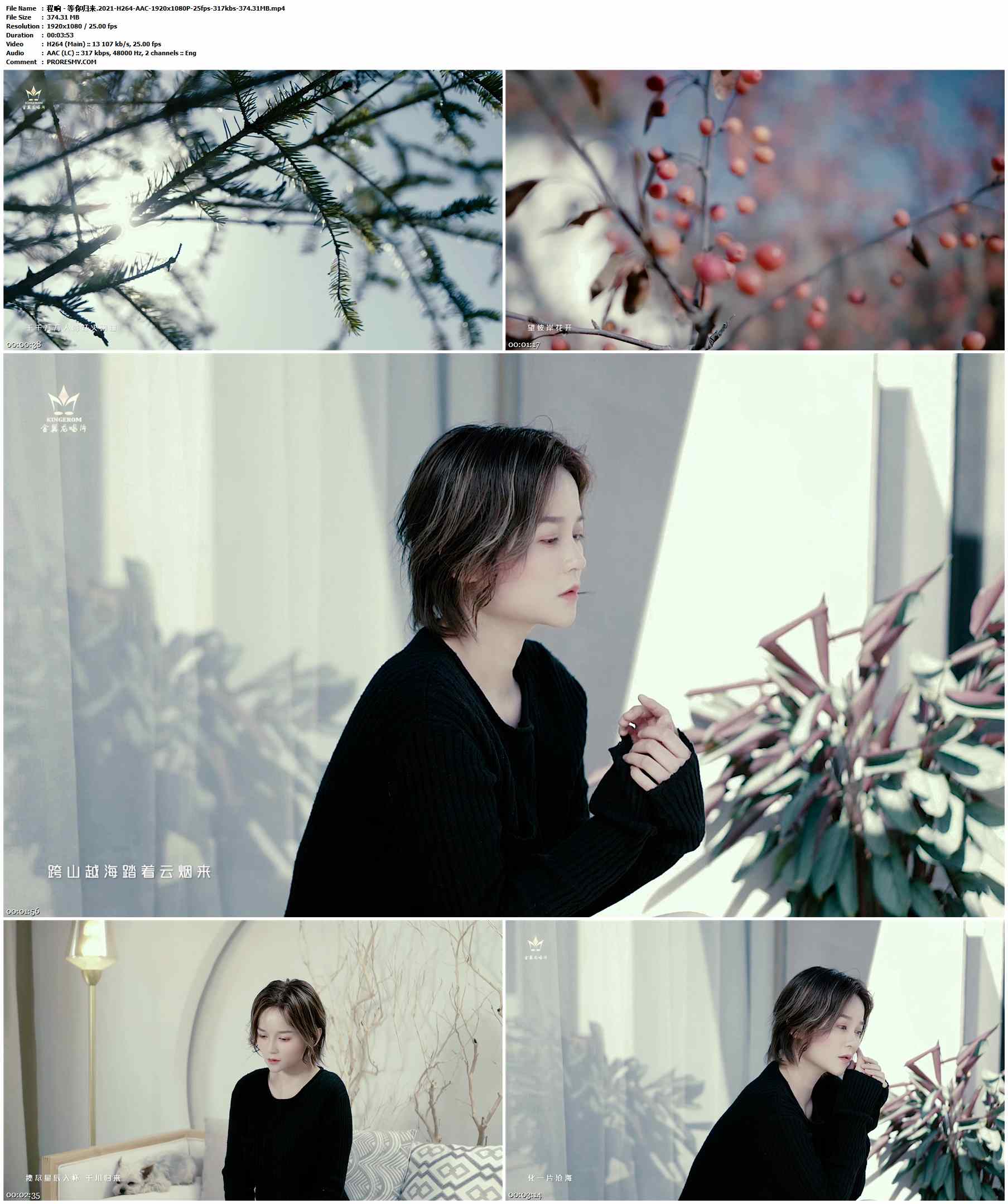 程响 - 等你归来.2021-H264-AAC-1920x1080P-25fps-317kbs-374.31MB官方MV_高清MV